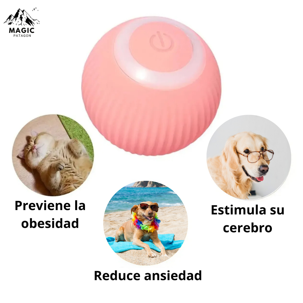 Pelota Interactiva para Mascotas