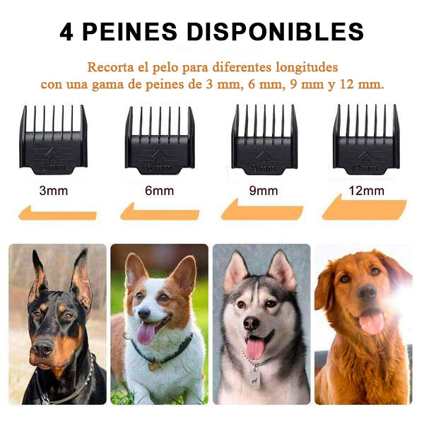 Kit de Peluquería para Mascotas – Ahorra en Cortes Desde Casa