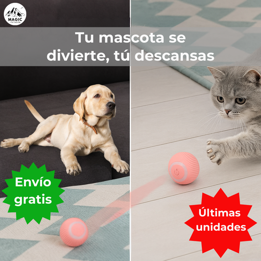Pelota Interactiva para Mascotas